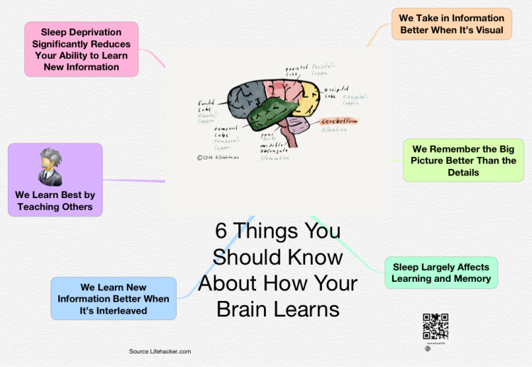 iThoughts: 6 Things You Should Know About How Your Brain ...