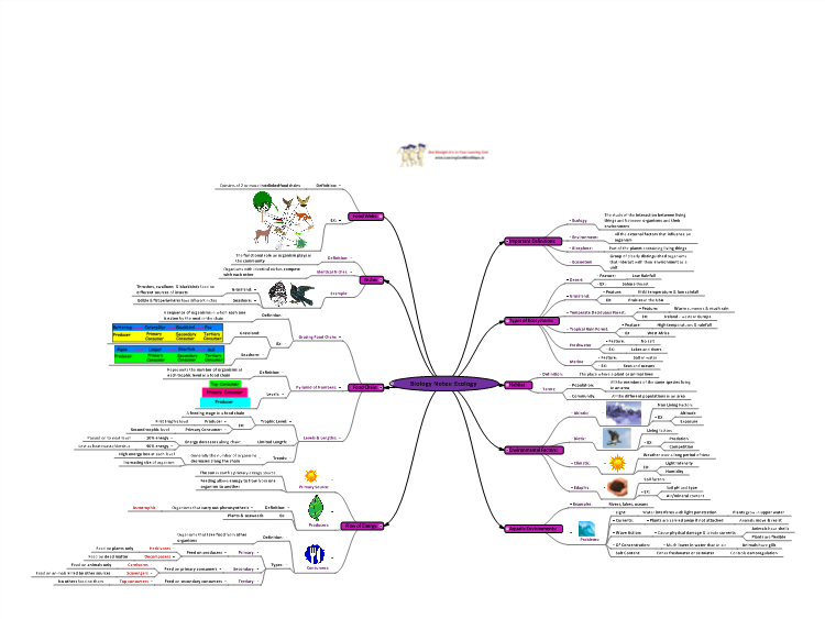 MindGenius: Biology Notes: Ecology mind map | Biggerplate