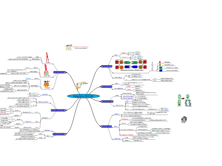 download intelligent text categorization and clustering 2009