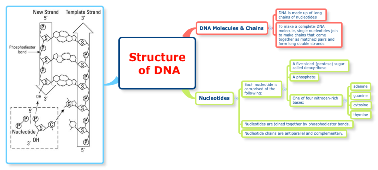 download the tuberculous process a conception