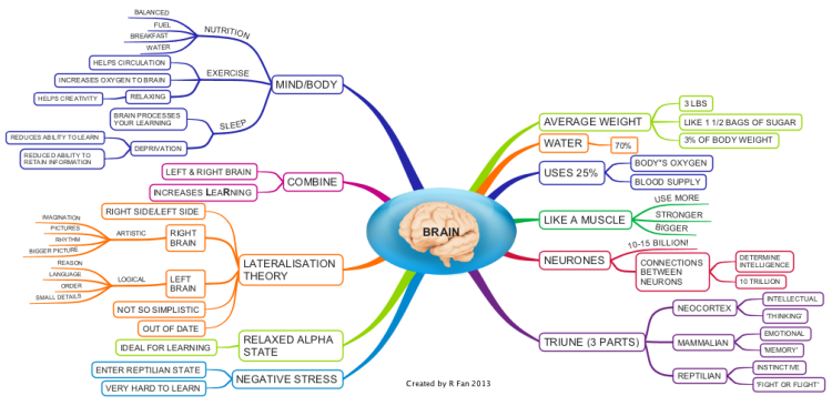 Imindmap Facts About The Human Brain Mind Map Biggerplate