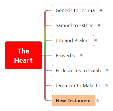 Bible Study-The Heart