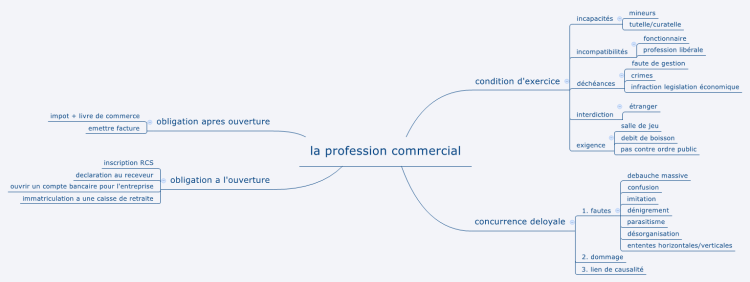 la profession commercial