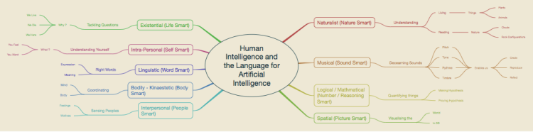 Human Intelligence and the language for Artificial intelligence