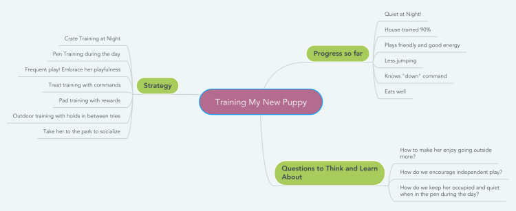 Training My New Puppy