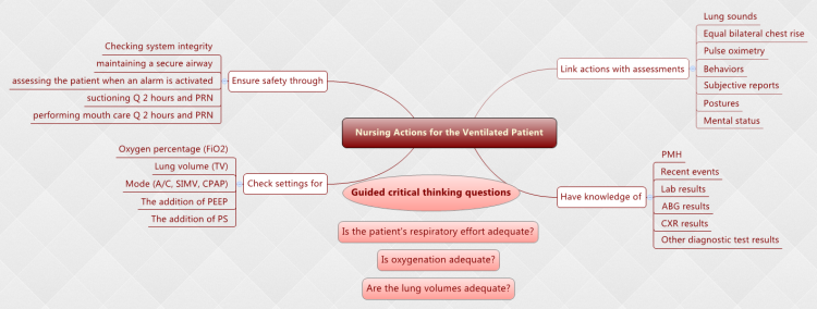 Nursing Actions for the Ventilated Patient