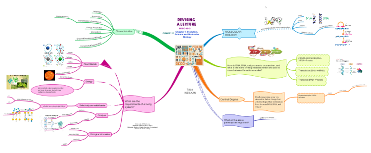 Molecular Biology