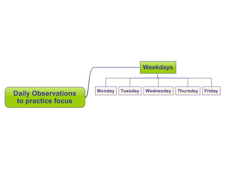 Daily Observations to practice focus