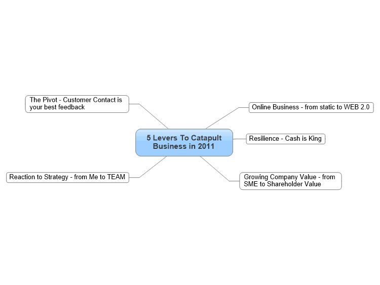 5 Levers To Catapult Business in 2011