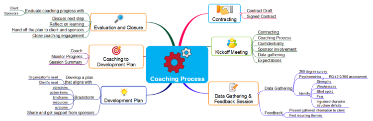 Executive Coaching Process