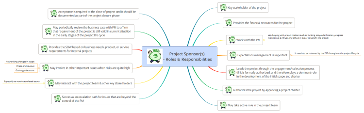 Project Sponsor(s) - Roles &amp; Responsibilities