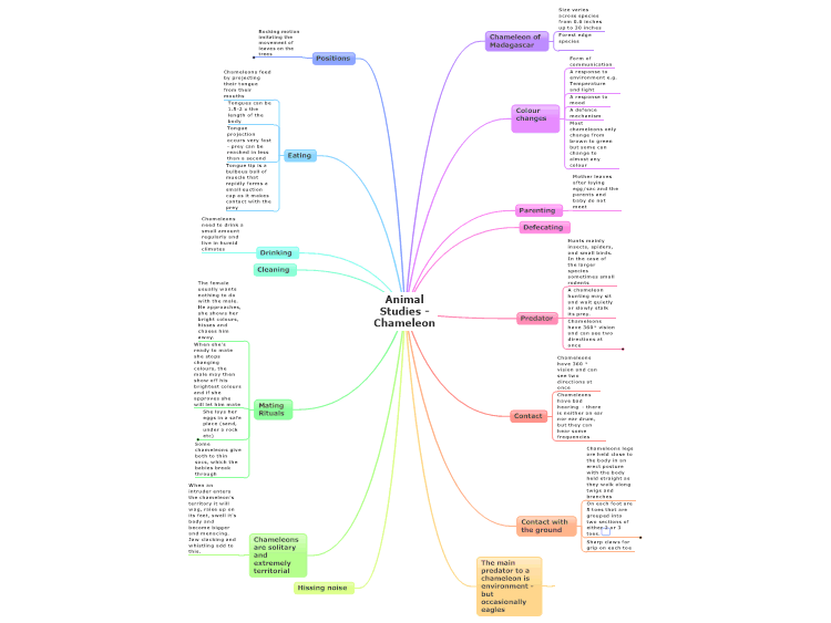 Animal Studies - Chameleon: MindManager mind map template | Biggerplate