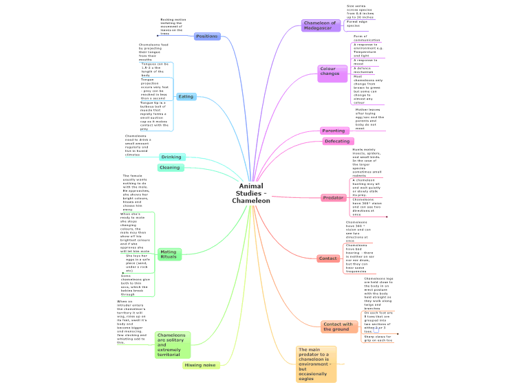 Animal Studies - Chameleon: MindManager mind map template | Biggerplate Animal Studies - Chameleon: MindManager mind map template | Biggerplate