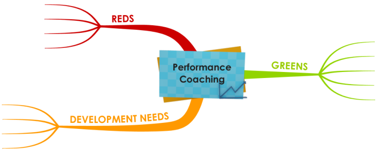 Performance Coaching