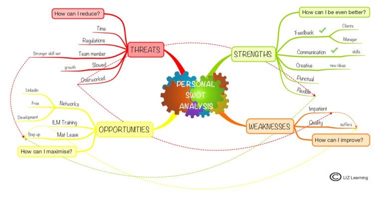 Liz Oseland Personal Swot Analysis