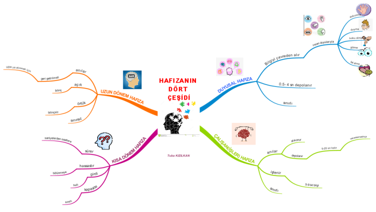 HAFIZANIN 4 &#199;EŞİDİ