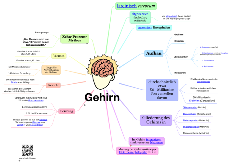Gehirn