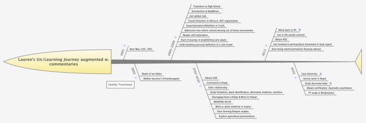 Lauren&#39;s Un/Learning Journey augmented w. commentaries