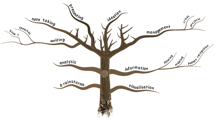 The tree of business: uses of mind mapping