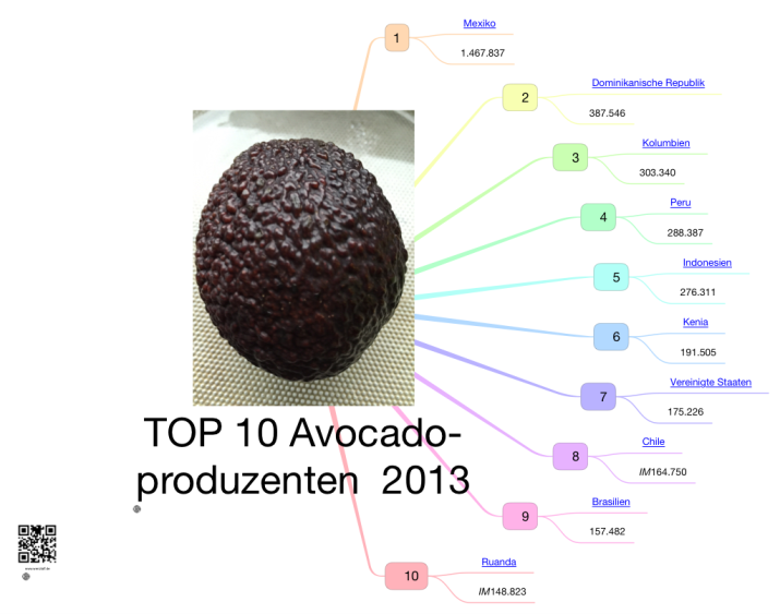 TOP 10 Avocadoproduzenten