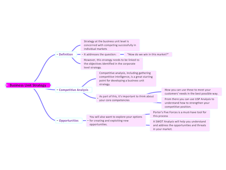 Business Unit Strategy