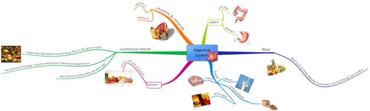 Digestive System by Emma and Saskia