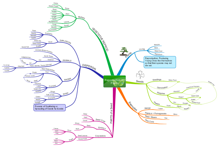 Reproduction In Plants Best Mind Map Mind Map Examples Mind Map Art ...