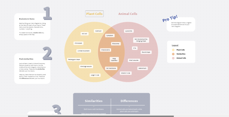2 Circle Venn Diagram