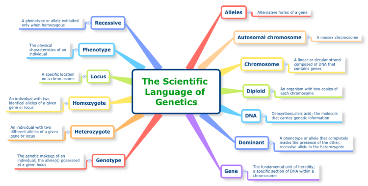 The Scientific Language of Genetics