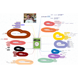 Dutch mind map about book Mindmap in 90 minutes