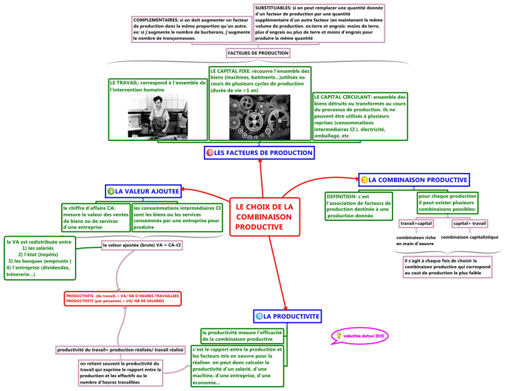 Le Choix De La Combinaison Productive