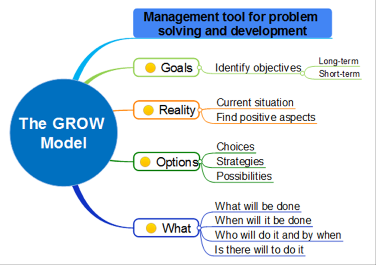 grow model of problem solving