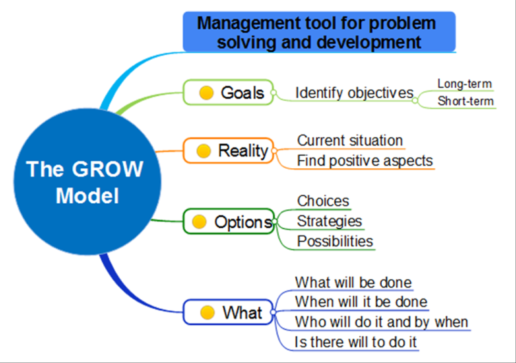 problem solving grow model