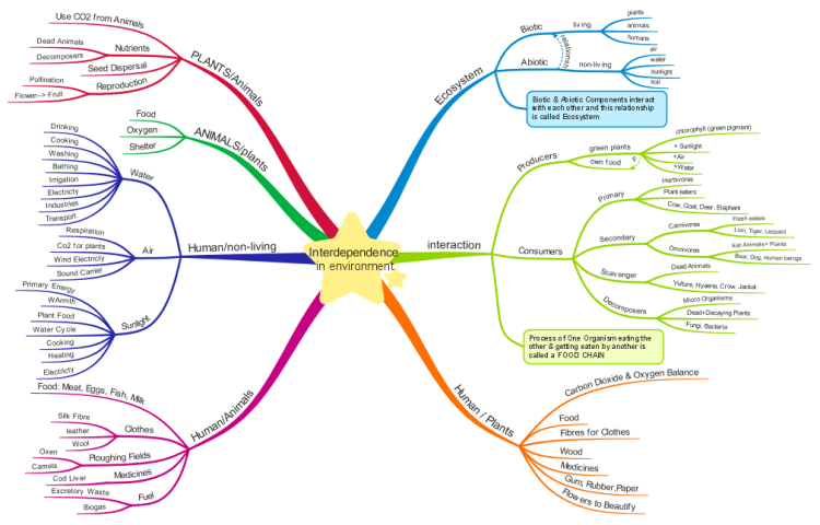 EVS Chapter 4 Interdependence in Environment NCERT: iMindMap mind m... | Biggerplate EVS Chapter 4 Interdependence in Environment NCERT: iMindMap mind m... | Biggerplate