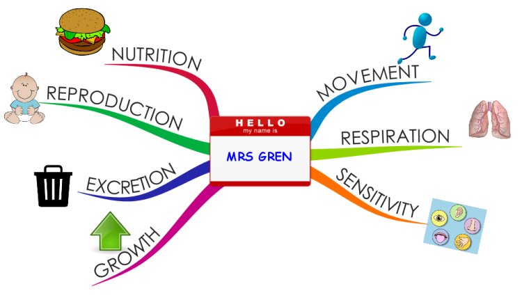MRS GREN - 7 Characteristics of Life