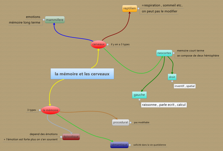 la m&#233;moire et les cerveaux