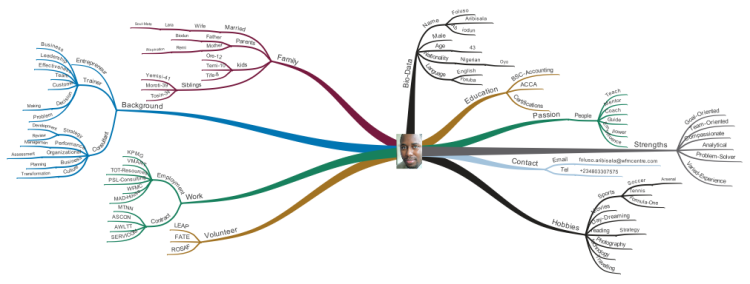 Foluso Aribisala&#39;s Resume