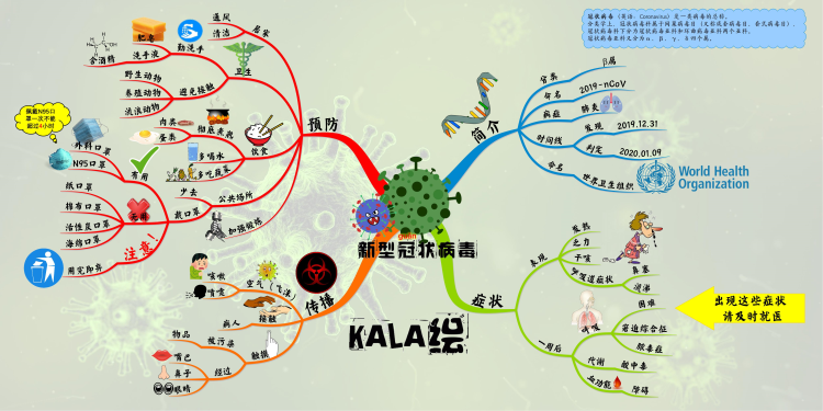 新型冠状病毒（COVID-19）