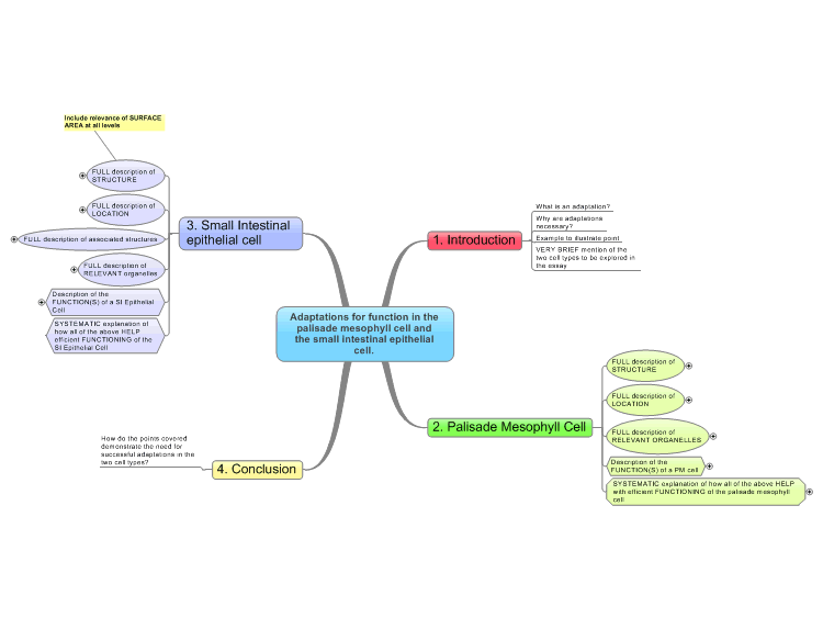 Mind Map On Cell Adaptations Of Cells Mind Map: Mindmanager Mind Map Template | Biggerplate