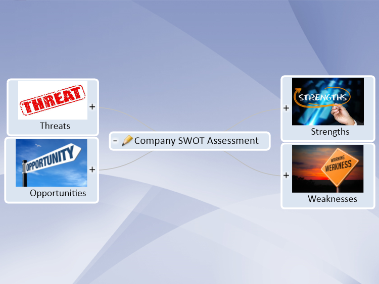 Company SWOT Assessment