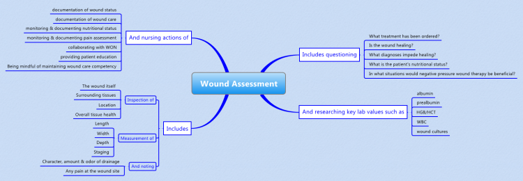 Wound Assessment