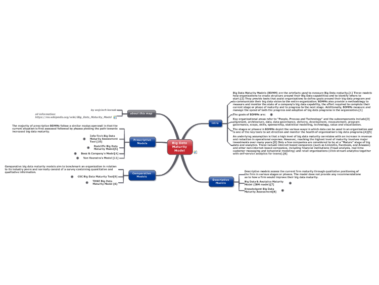 Big Data Maturity Model