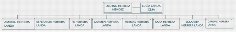 Arbol Genealogico Familia Herrera