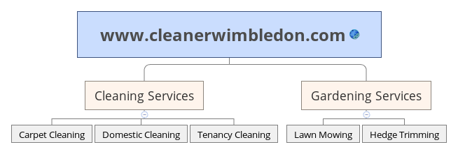 www.cleanerwimbledon.com