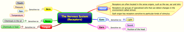 The Nervous System (Receptors)