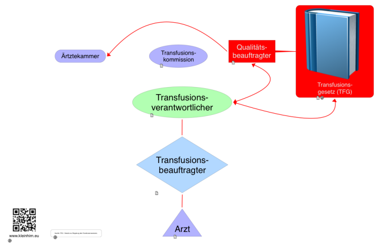 Transfusionsverantwortlicher vs. Transfusionsbeauftragter (Blutprodukte)