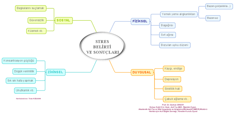 Stres  Belirti  Ve Sonu&#231;lari