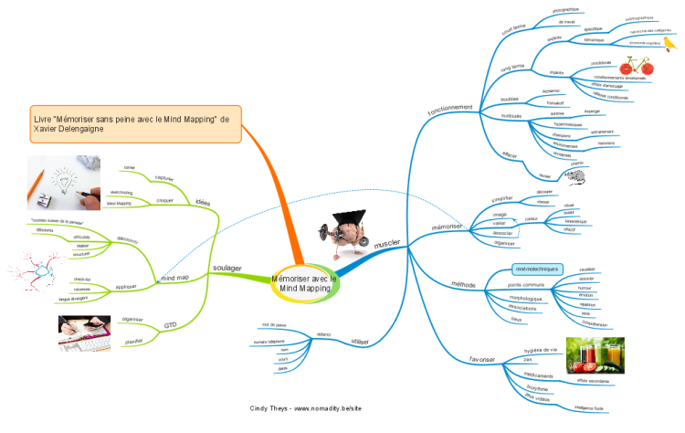 M&#233;moriser avec le Mind Mapping