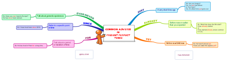 Common Adverbs  In  Present Perfect  Tense