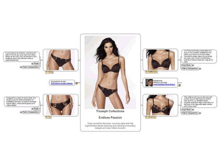 Fashion ( Triumph "Endless Passion" )